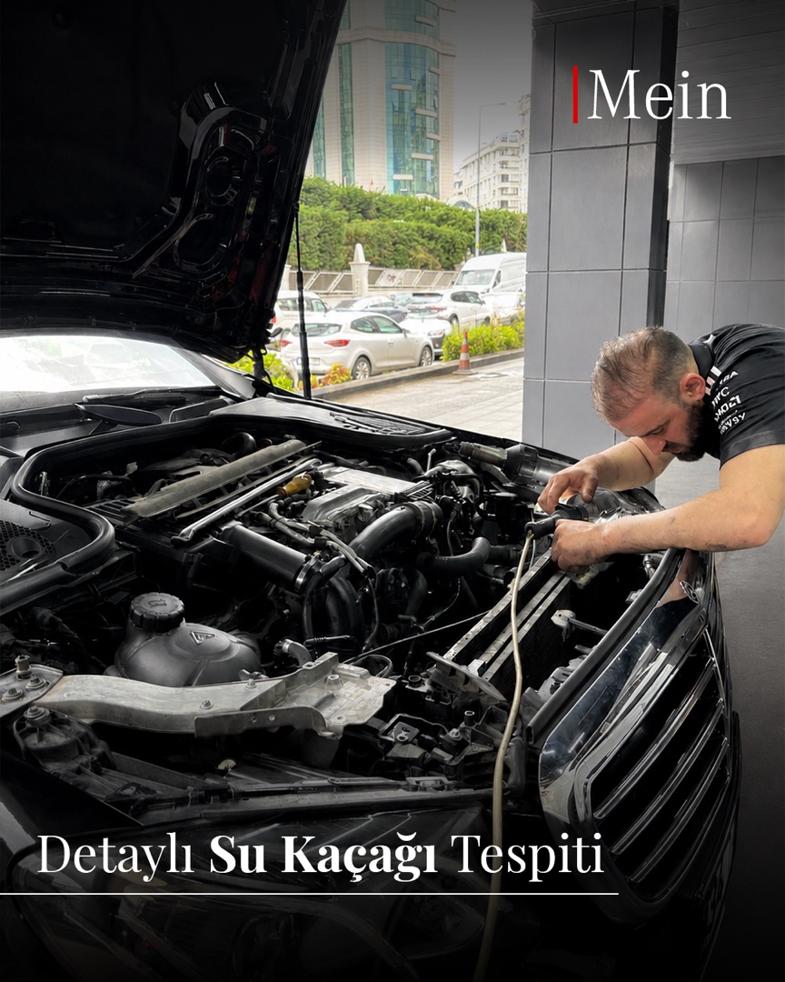 Mein Servis — Water leak detection