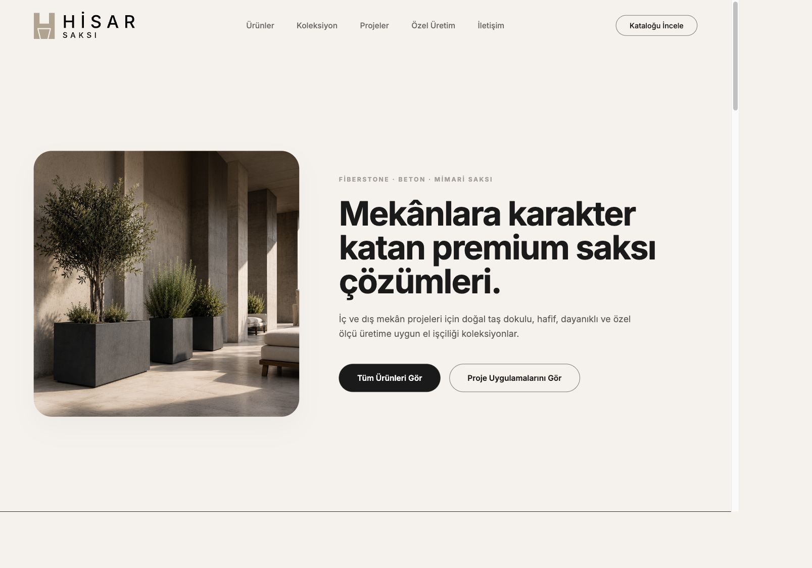 Hisar Saksı
